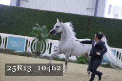 25R13_10462 thumbnail