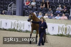 25R13_10463 thumbnail
