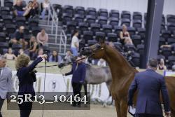 25R13_10464 thumbnail