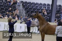 25R13_10465 thumbnail
