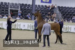 25R13_10468 thumbnail