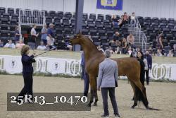 25R13_10470 thumbnail