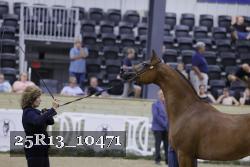 25R13_10471 thumbnail