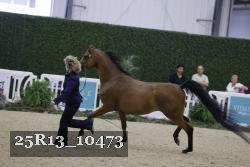 25R13_10473 thumbnail