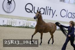 25R13_10474 thumbnail