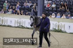 25R13_10475 thumbnail