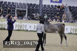 25R13_10476 thumbnail