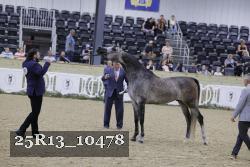 25R13_10478 thumbnail