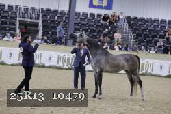 25R13_10479 thumbnail