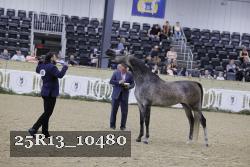 25R13_10480 thumbnail