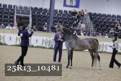 25R13_10481 thumbnail