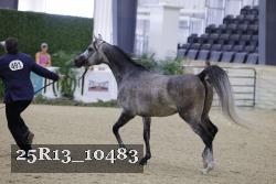 25R13_10483 thumbnail