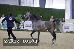 25R13_10484 thumbnail