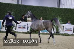 25R13_10485 thumbnail