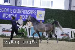 25R13_10487 thumbnail