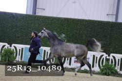 25R13_10489 thumbnail