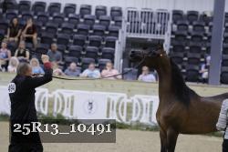 25R13_10491 thumbnail