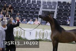 25R13_10492 thumbnail