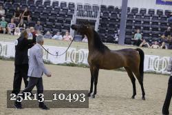 25R13_10493 thumbnail