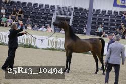 25R13_10494 thumbnail