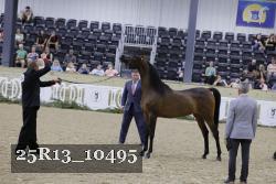 25R13_10495 thumbnail