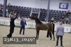 25R13_10497 thumbnail