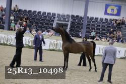25R13_10498 thumbnail