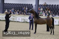 25R13_10499 thumbnail