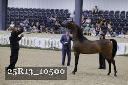 25R13_10500 thumbnail