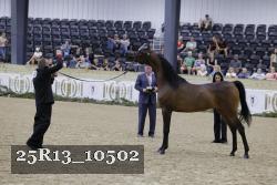 25R13_10502 thumbnail