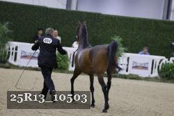 25R13_10503 thumbnail