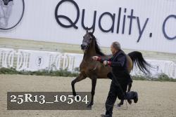 25R13_10504 thumbnail