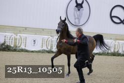 25R13_10505 thumbnail