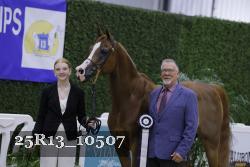 25R13_10507 thumbnail