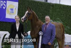 25R13_10508 thumbnail
