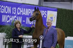 25R13_10509 thumbnail