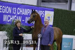 25R13_10511 thumbnail