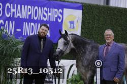 25R13_10512 thumbnail
