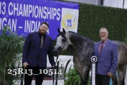 25R13_10514 thumbnail