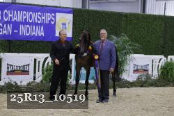 25R13_10519 thumbnail