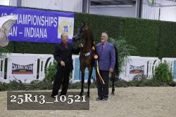 25R13_10521 thumbnail