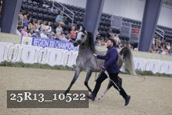 25R13_10522 thumbnail