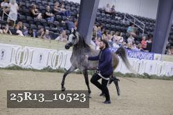 25R13_10523 thumbnail