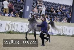 25R13_10524 thumbnail