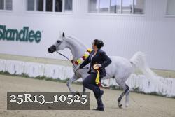 25R13_10525 thumbnail