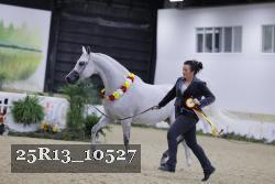 25R13_10527 thumbnail