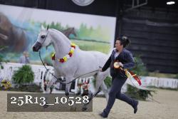 25R13_10528 thumbnail