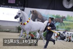 25R13_10529 thumbnail