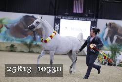 25R13_10530 thumbnail