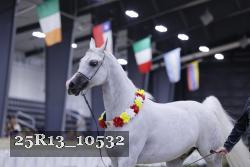 25R13_10532 thumbnail
